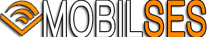 sesli sohbet